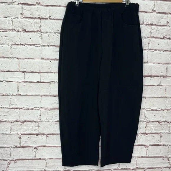 Roucha Pal Crepe Pant in Black